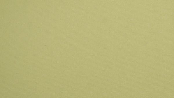 Ролета термо (blackout) Gardinia 50x150 см яблучний 