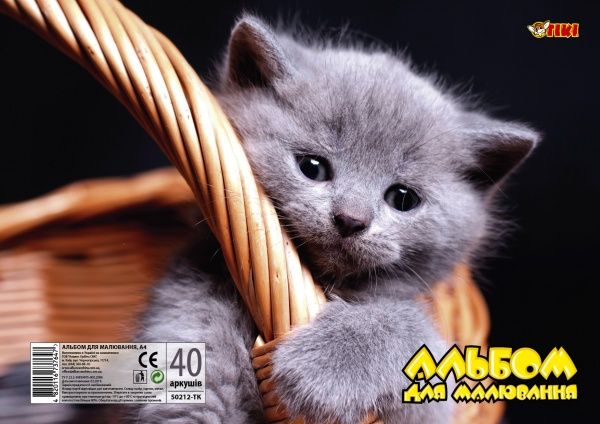 Альбом для рисования 40листов120 г/м2 наспирали50212-ТК Тікі