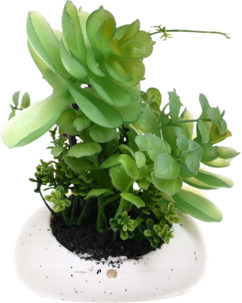 Растение искусственное суккулент в белом пластиковом горшке 16х15 см. Sensio