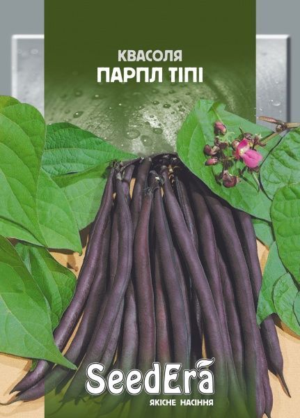 Семена Seedera фасоль спаржевая кустовая Парпл Типи 20г