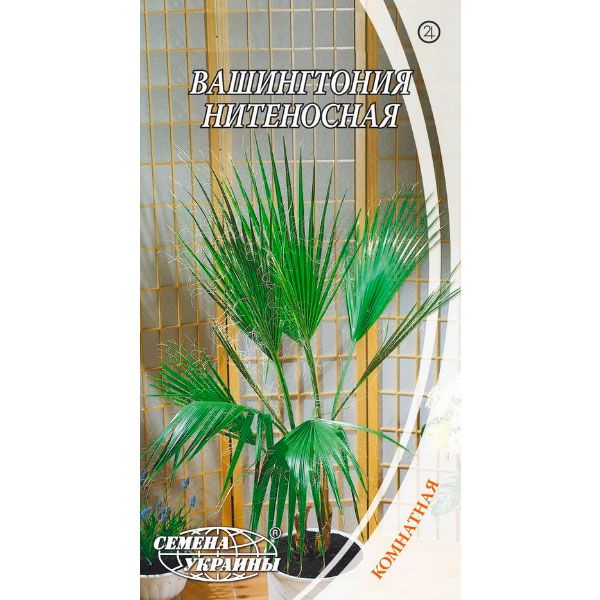 Семена Украины Вашингтония нитеносная 5 шт