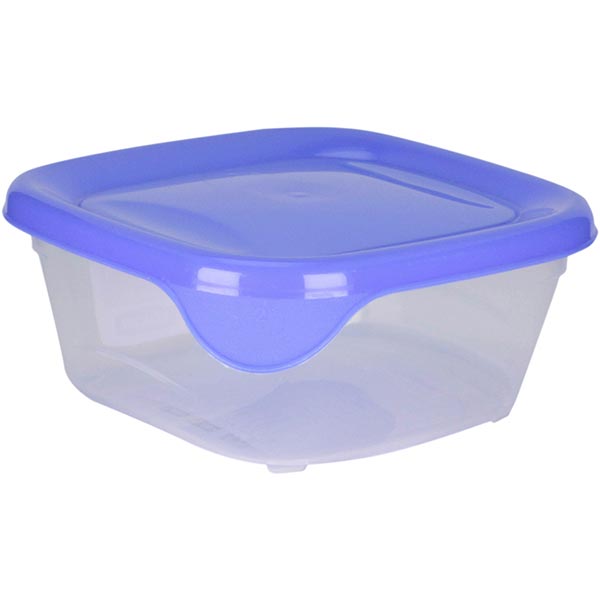 Контейнер Fresh and go 250 мл Curver