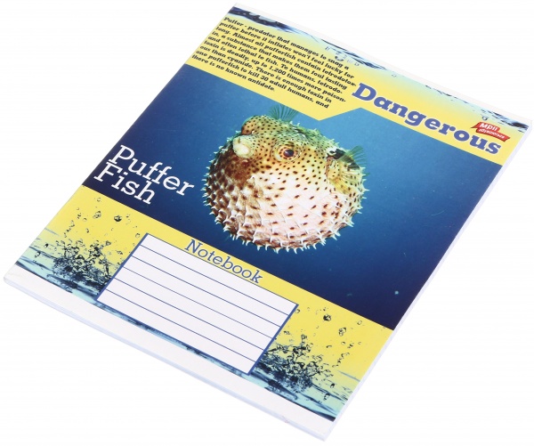 Зошит шкільний 48 аркушів у клітинку в асортименті Мрії збуваються