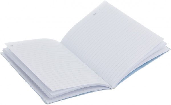 Набор принадлежностей новогодний Sparkle книга для записи А5 в линию 80 листов и пенал 