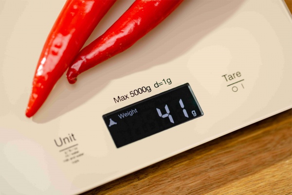 Весы кухонные Zelmer ZKS1100 