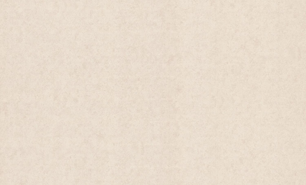 Шпалери вінілові на флізеліновій основі Bravo 81800BR02 1,06x10,05 м