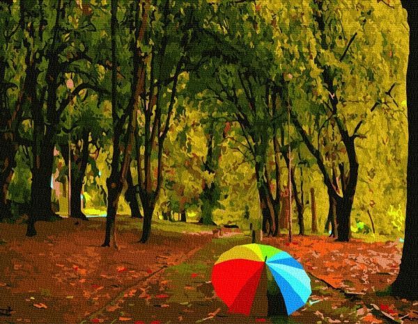 Картина за номерами Осіння прогулянка BookOpt 