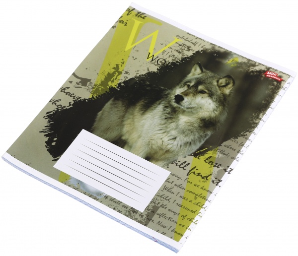 Зошит шкільний 48 аркушів у клітинку в асортименті Мрії збуваються