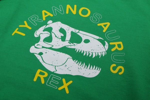 Джемпер детский Роза 190136 р.104 зеленый 