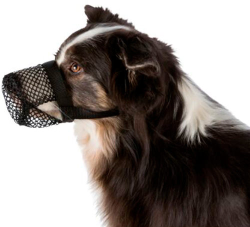 Намордник Trixie M-L 27см/22-46см (17594)