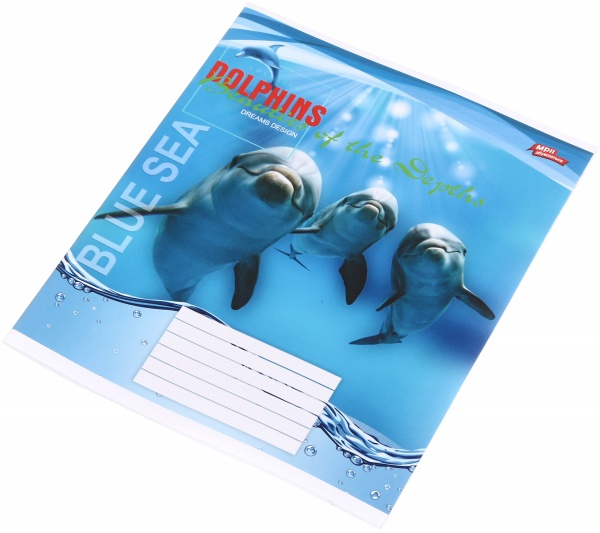 Тетрадь школьная 24 листа в линейку в ассортименте Мечты сбываются