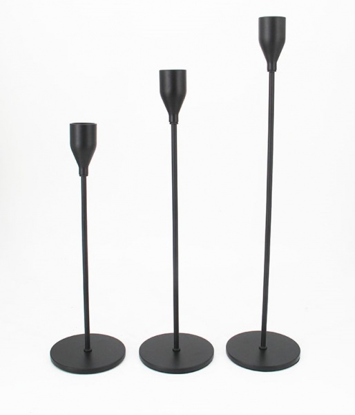 Подсвечник Ferrous 16-M 290х26х80 мм