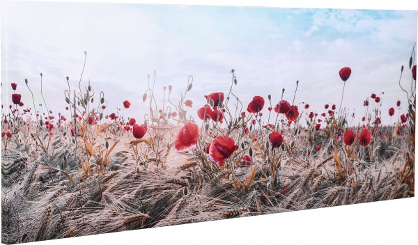 Картина Маковое поле 150x60 см Styler CA-13043 