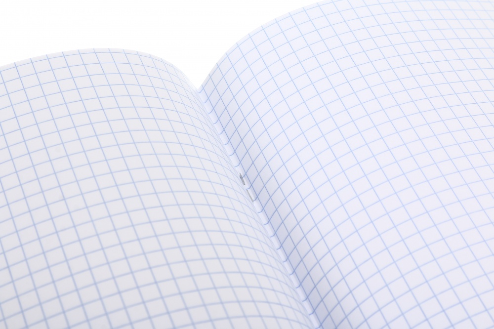 Тетрадь школьная Asia24 48 листов скоба клетка Nota Bene