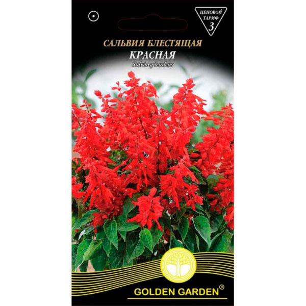 Семена Golden Garden сальвия блестящая Красная 0,2 г