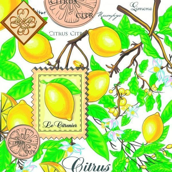 Салфетки столовые Luxy Лимоны 33х33 см 20 шт.