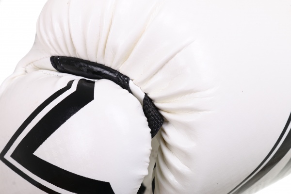 Боксерские перчатки MaxxPro AVG-451 р. 10 белый