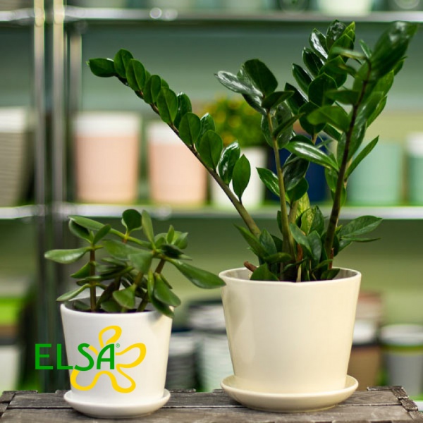 Вазон керамический Santino Bilbao круглый 2,5 л антрацит (DP-36-17-J-39-00) 