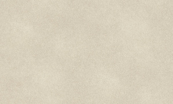 Шпалери вінілові на флізеліновій основі RASCH Fiesta 973013 1,06x10,05 м 