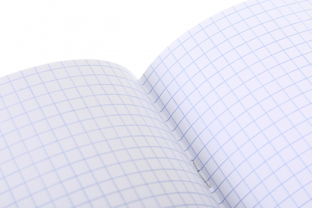 Тетрадь школьная История 48 листов в клеточку Nota Bene