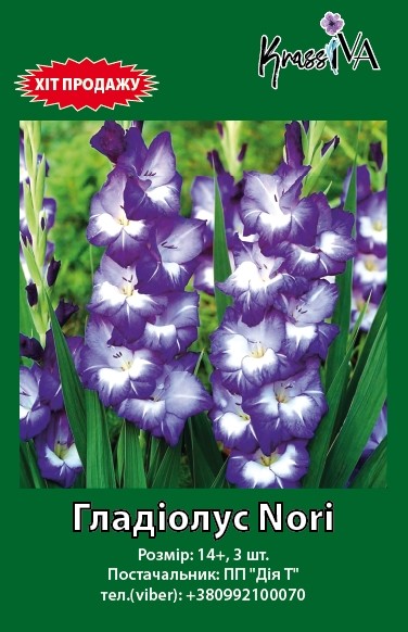 Луковица гладиолус Nori 3 шт. 