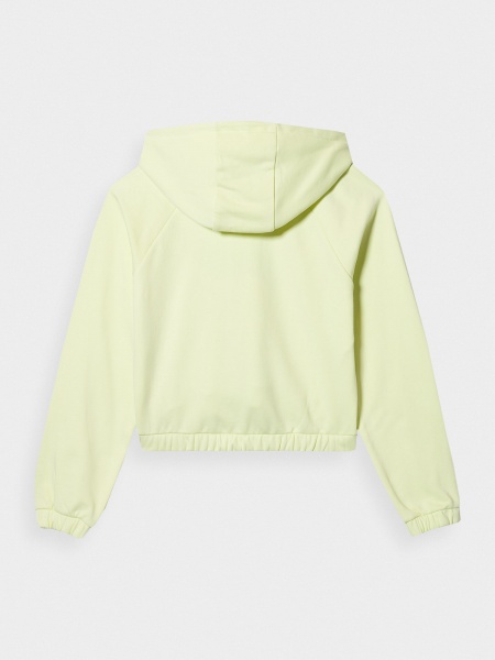 Джемпер 4F SWEATSHIRT F0847 4FSS23TSWSF0847-42S р. S зеленый