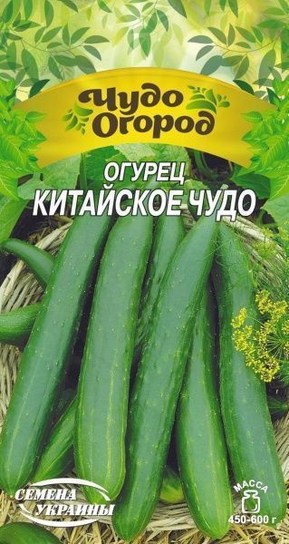 Насіння Семена Украины огірок Китайське диво 664100 0,5г