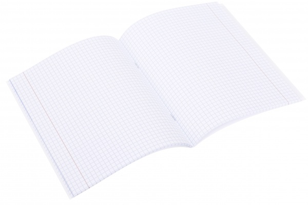 Тетрадь школьная Graffiti 48 листов клетка Nota Bene