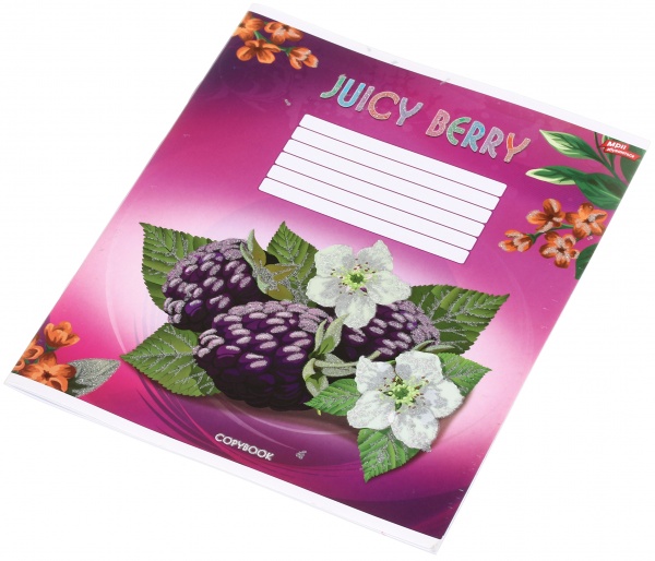 Тетрадь школьная с глитером 18 листов в линейку в ассортименте Мечты сбываются