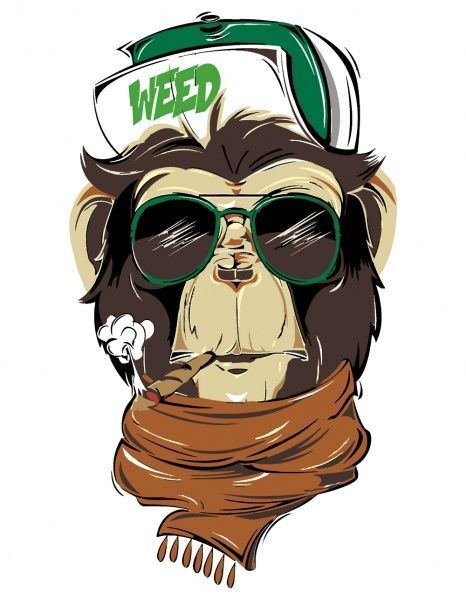 Картина за номерами Brutal Gorilla Rosa Start 