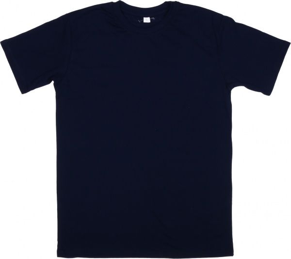 Футболка чоловіча Роза 170201 р. L темно-синій