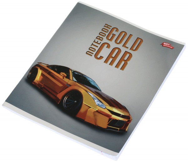 Тетрадь школьная серебро 4 листов в клеточку в ассортименте Мечты сбываются