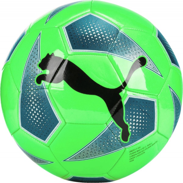 Футбольный мяч Puma FCSD CAGE BALL 8381503 р.5