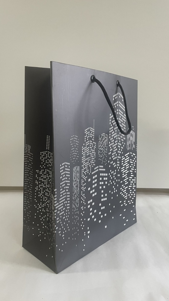 Пакет Пакет L, вертикальний, 24*32*10, картон, колір в асортименті