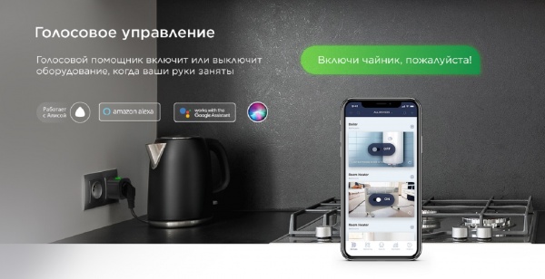 Розумна розетка Perenio PEHPL02 чорний 