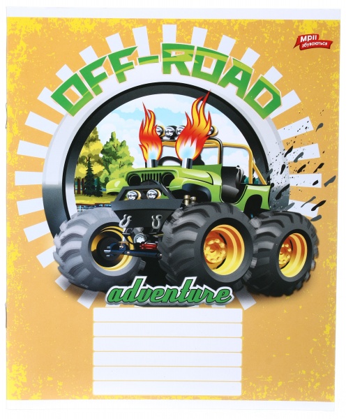 Тетрадь школьная 18 листов в клеточку в ассортименте Мечты сбываются