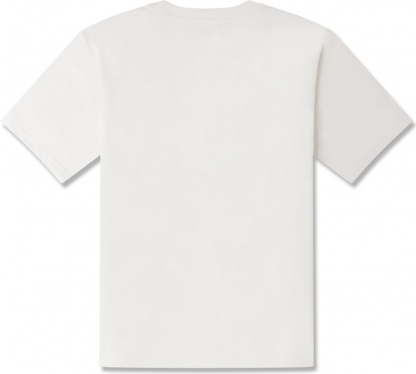 Футболка Converse Converse All Star Gender Free 10023876-268 р.2XL белый