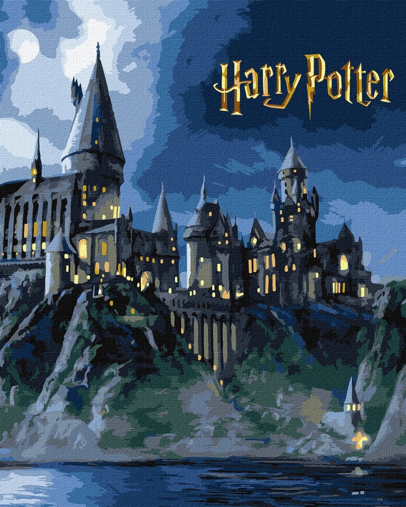 Картина по номерам Harry Potter: Хогвартс ночью с красками металлик extra ©Warner Bros. 40х50 см Ideyka