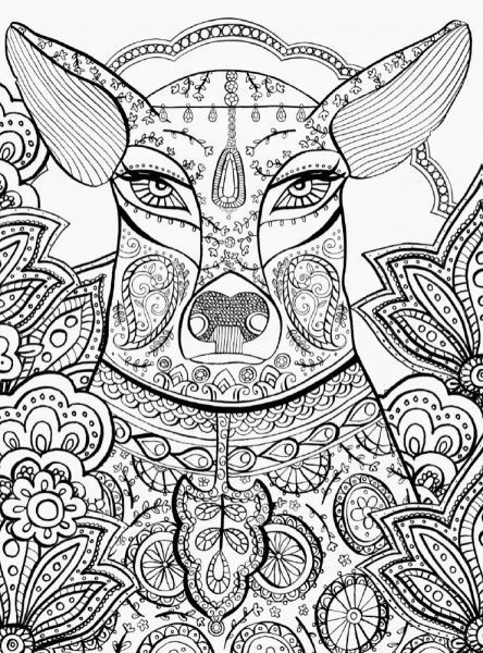 Книга-раскраска Редьярд Киплинг «Книга джунглей» 978-617-09-4083-4