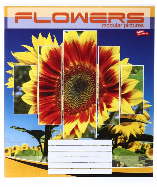 Зошит шкільний 24 аркуша у клітинку в асортименті Мрії збуваються