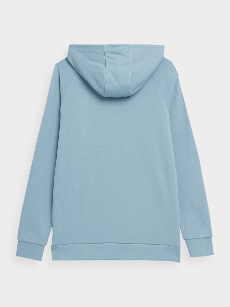 Джемпер 4F SWEATSHIRT M0869 4FSS23TSWSM0869-34S р. M блакитний