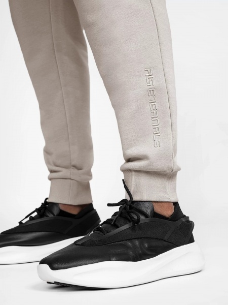 Брюки 4F TROUSERS CAS M256 RL9AW22TTROM256-27S р. L серый