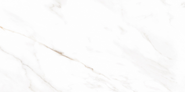 Плитка Allore Group Mira White F P R Satin 60x120 см 