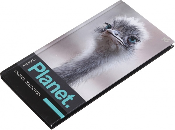 Книга для записей 7БЦ 64 листа YES