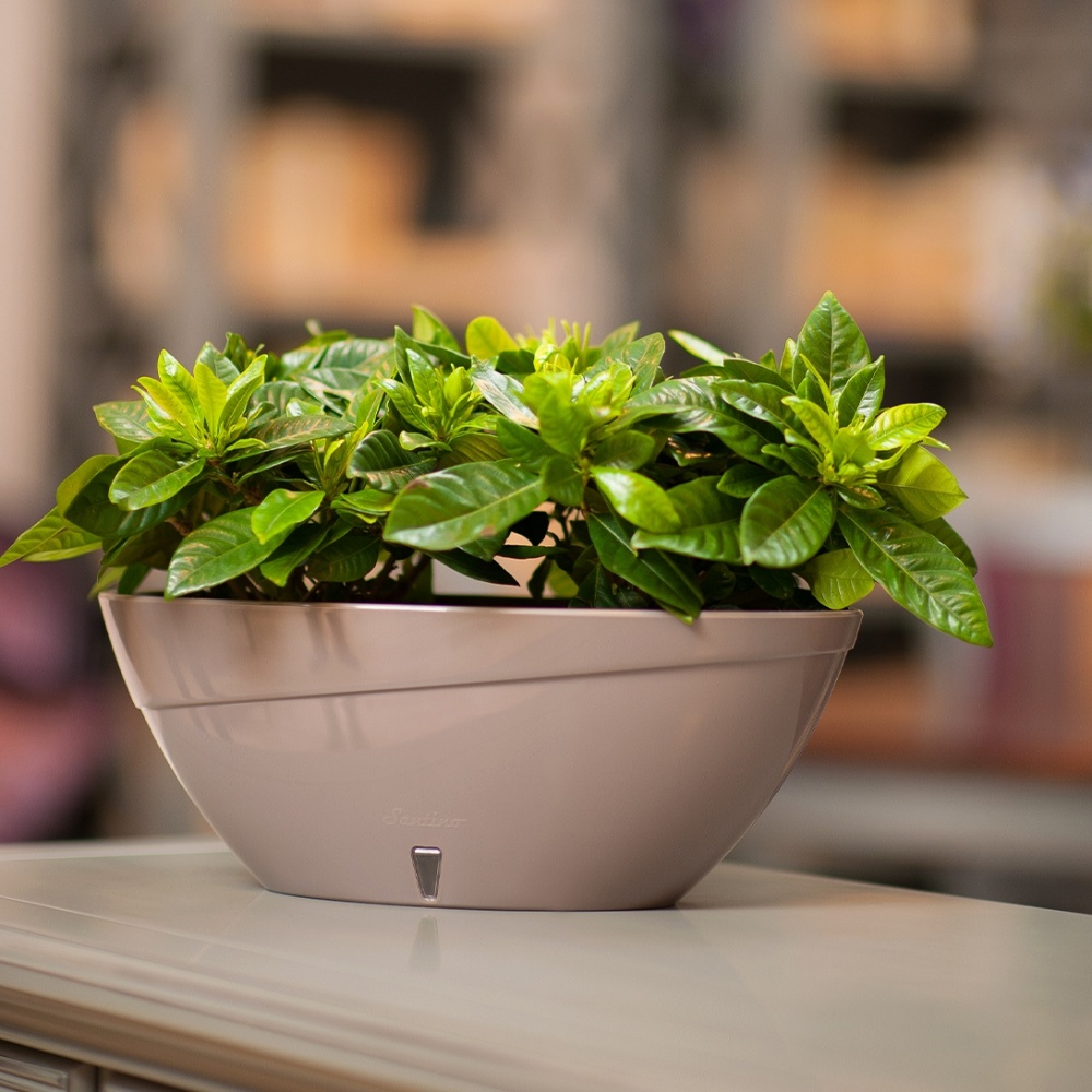 Вазон пластик Calipso овальний прозорий 3,8 л Santino (2013347)