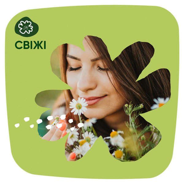 Прокладки ежедневные Naturella Camomile Deo normal 100 шт.