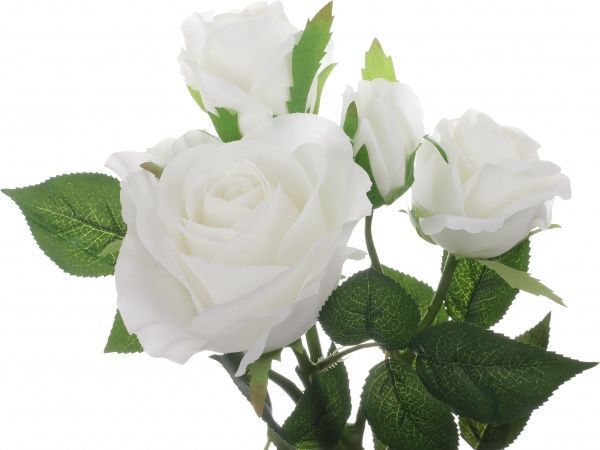 Букет роз 5 цветков белый