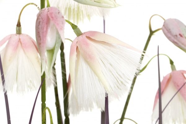 Растение искусственное Кортадерия в пластиковом горшке 107 см