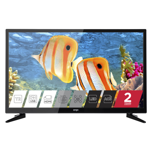 Телевизор Ergo LE21CT5000AK