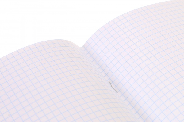 Тетрадь школьная Dino скоба 24 листов в клетку Мечты сбываются